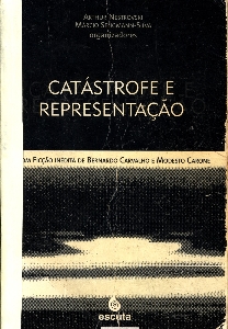 Catástrofe e representação : ensaios