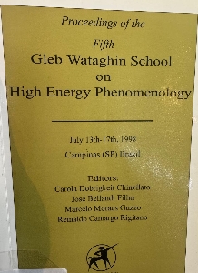 Proceedings of the Fifth Gleb Wataghin School on High Energy Phenomenology : July 13th-17th, 1998, Campinas (SP), Brazil
