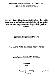 Palinologia da mina Amando Simões - Poço 06 : membro triunfo (permiano inferior), formação Rio Bonito, região do municipio de Figueira Paraná