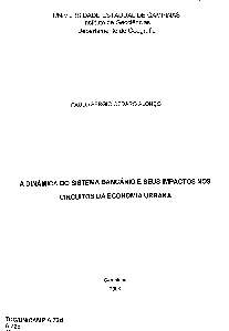 A dinâmica do sistema bancário e seus impactos nos circuitos da economia urbana