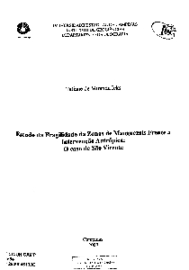 Estudo da fragilidade da zonas de manguezais frente a intervenção antrópica : o caso de São Vicente